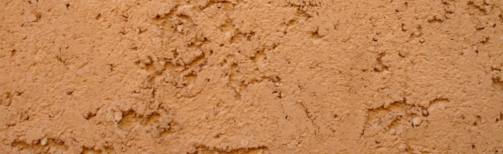 París Extra Grueso (Barragan)