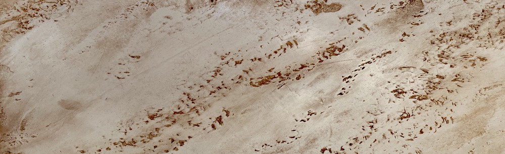 Venezino Pietra Spaccata